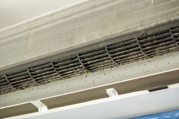 Best Air Vent Cleaning Services  in Charleston, WV